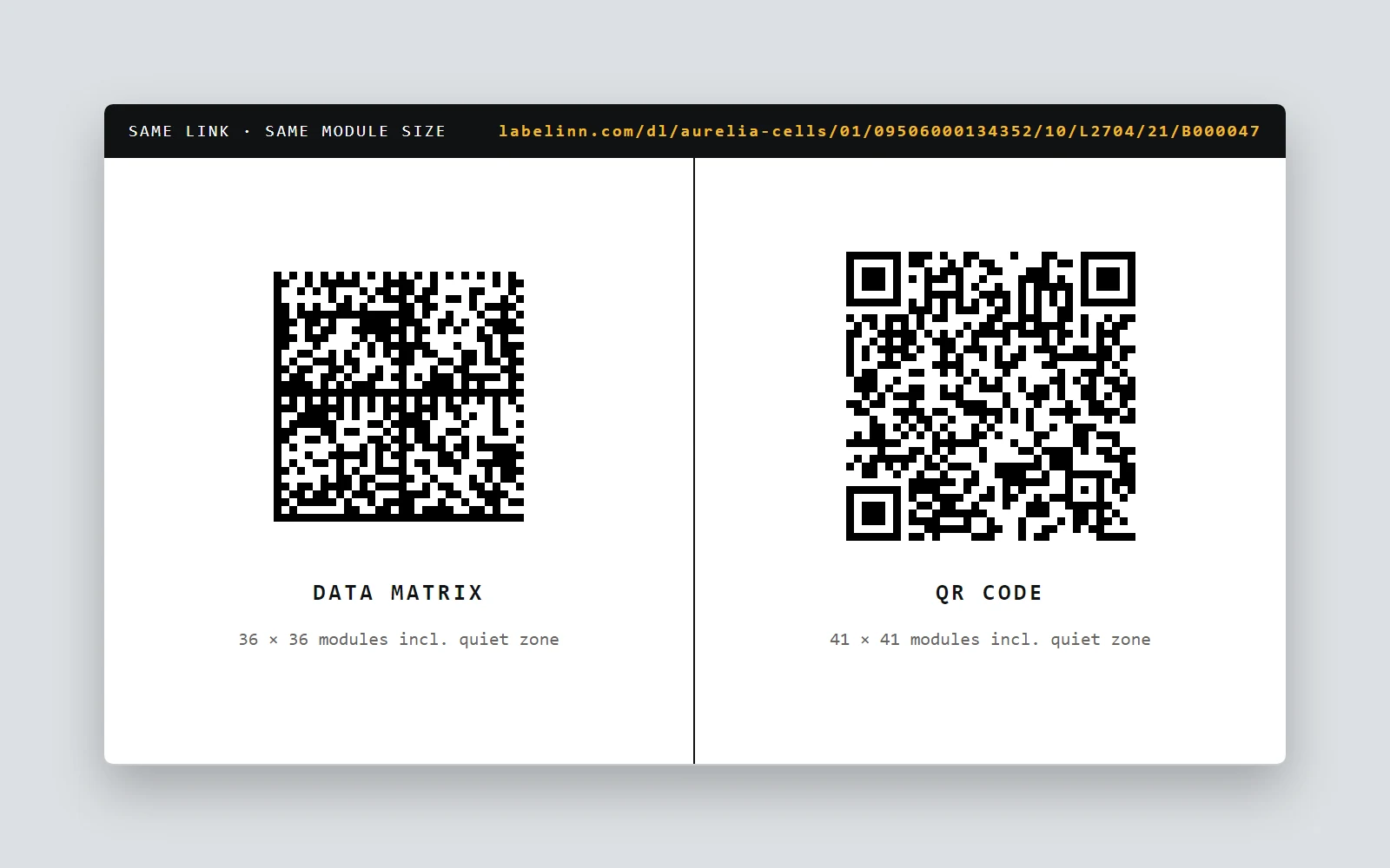 The same digital product passport link as a Data Matrix and as a QR code at the same module size — LabelInn